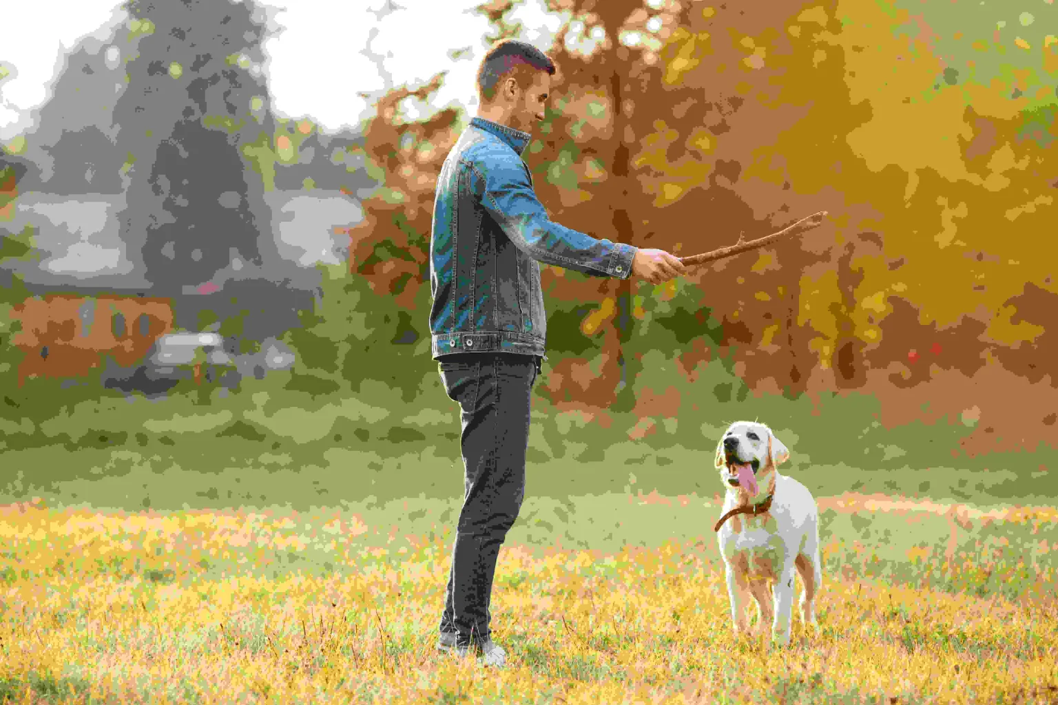 Effective Dog Training: Techniques and Tips for a Well-Behaved Canine