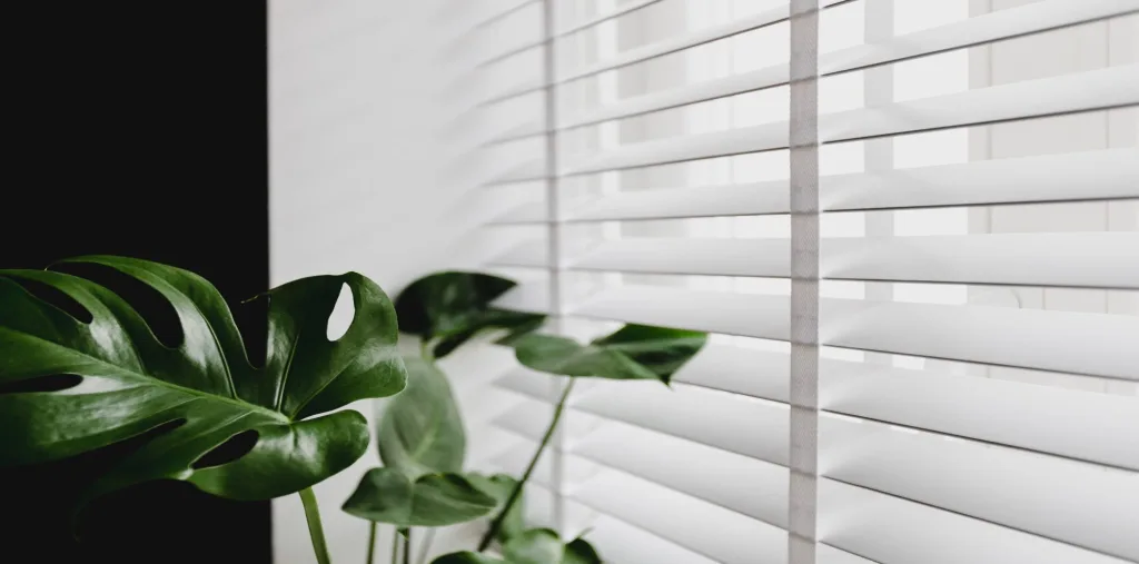 Enhance Your Space with Motorized Blinds and Shades