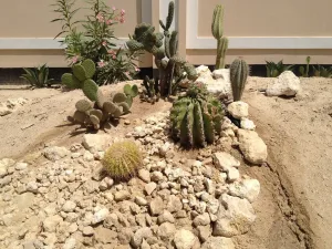 What is Xeriscape Landscaping?