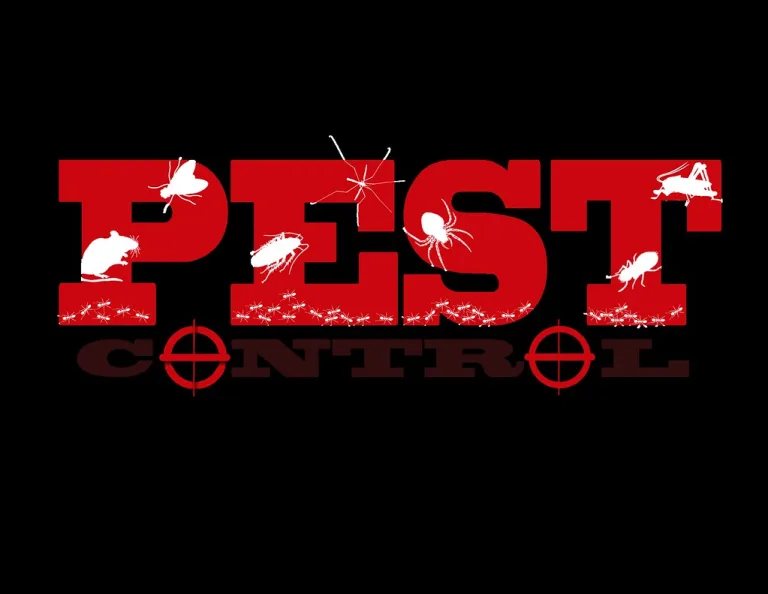 What to Expect After Pest Control Treatment? - HRC