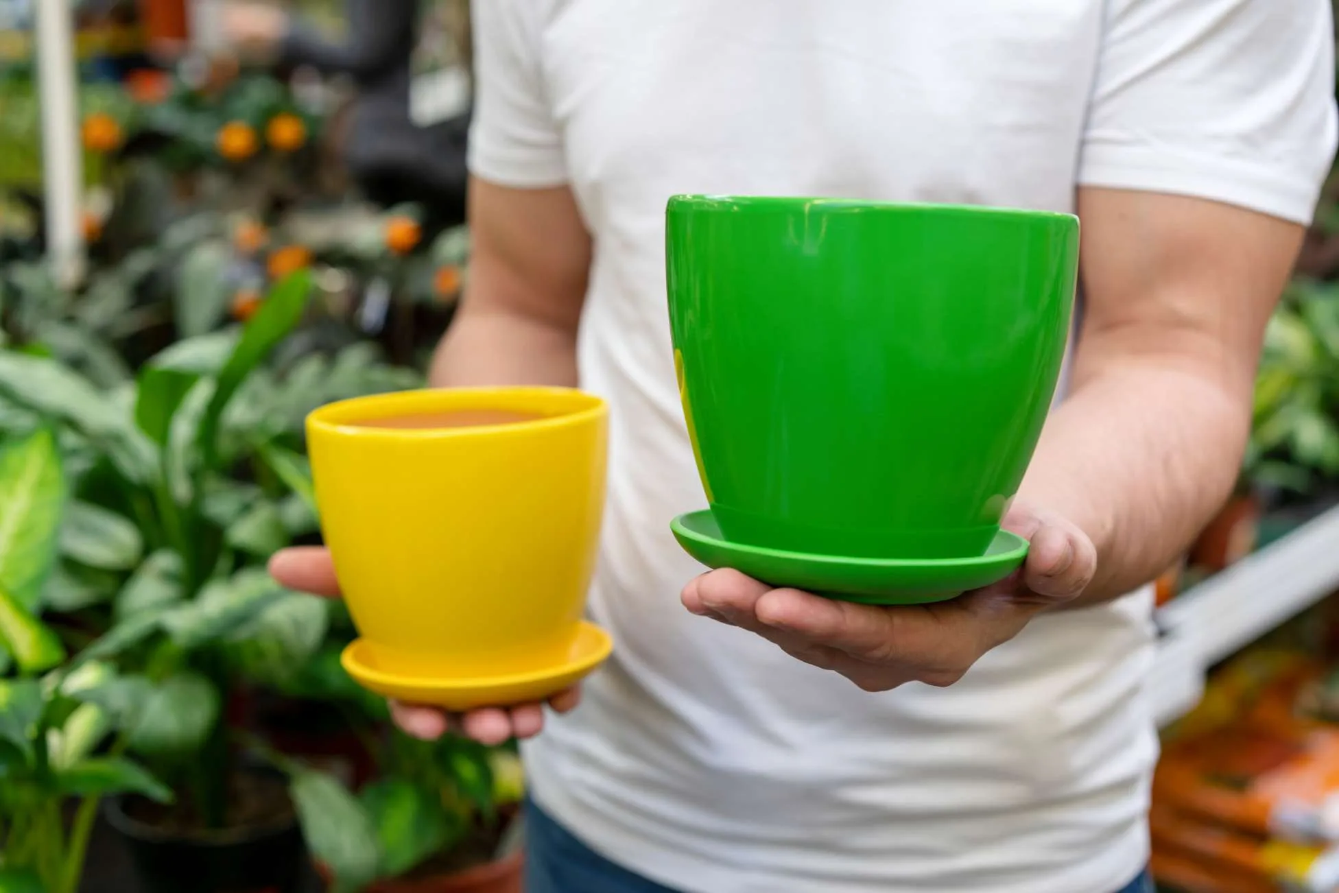 Container Gardening: Choosing the Right Plant Container Sizes